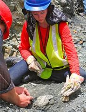 버지니아공대 지질과학과 박사과정 학생인 케이틀린 콜리어리에 따르면 화석을 통해 고대 동물의 원래 색깔 패턴을 결정할 수 있다고 한다. Credit: Virginia Tech